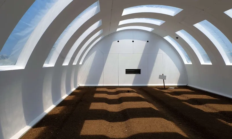 Mẫu kết cấu vòm nan tre độc đáo